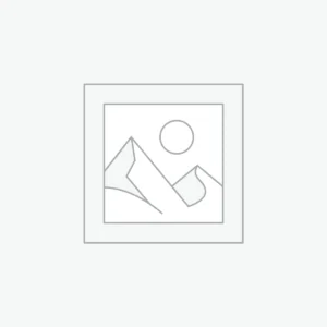 WordPress Development